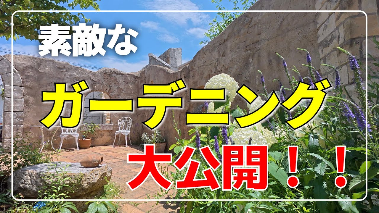 素敵なガーデニングライフを！初夏のガーデン大公開！【モルチューブ】【ガーデニング】