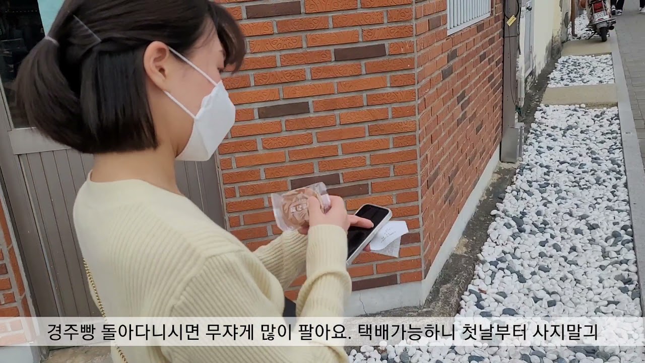 브이로그ㅣ경주여행ㅣ2일차ㅣ한옥인ㅣ불국사   ㅣ카페메이플ㅣ솔거미술관