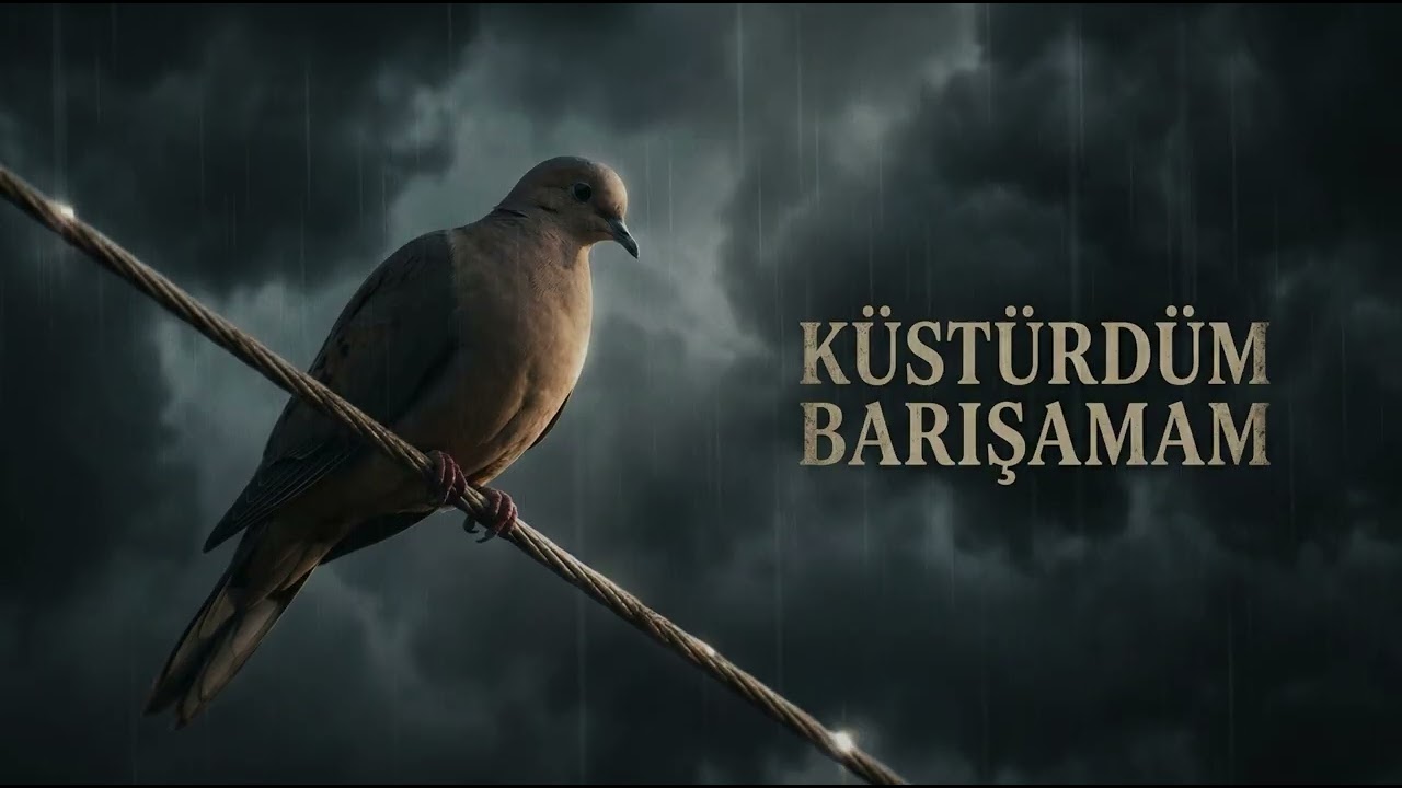 Küstürdüm Barışamam Türküsü (Modern Cover) | En Duygusal Türküler | Selis Medya