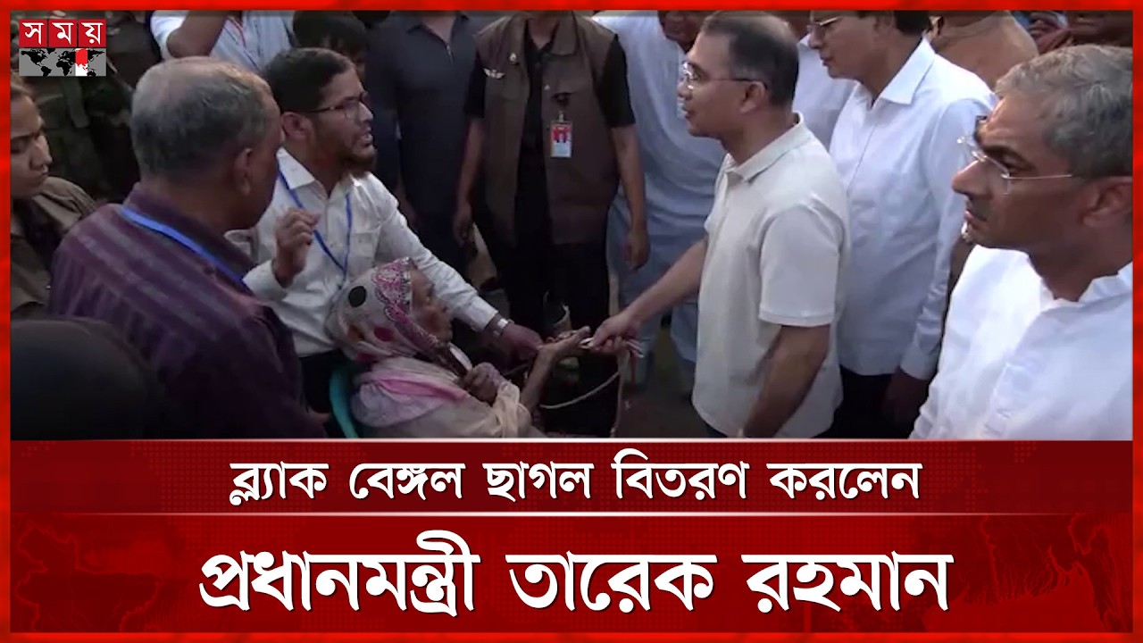 ব্ল্যাক বেঙ্গল ছাগল বিতরণ করলেন প্রধানমন্ত্রী তারেক রহমান | PM Tarique Rahman | BNP | Somoy TV
