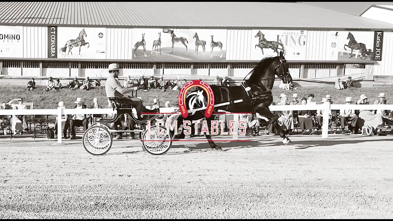 LCM Stables Promotional Video 2026 | Lester & Cathy Miller, Apple Creek Ohio