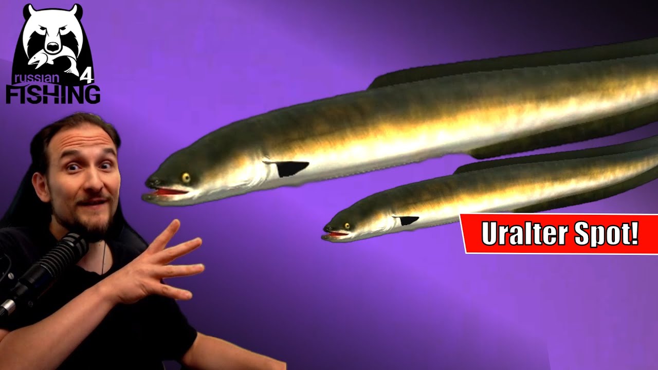 Russian Fishing 4 - Wolchow - Uralter Aal Spot, Auf Aal am Wolchow