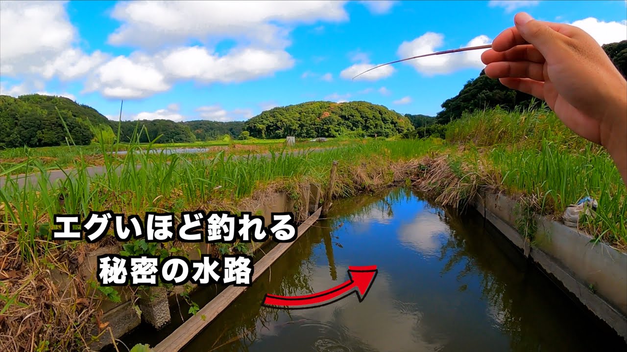 おとなを夢中にさせる田園の宝石釣り【タナゴ釣り】