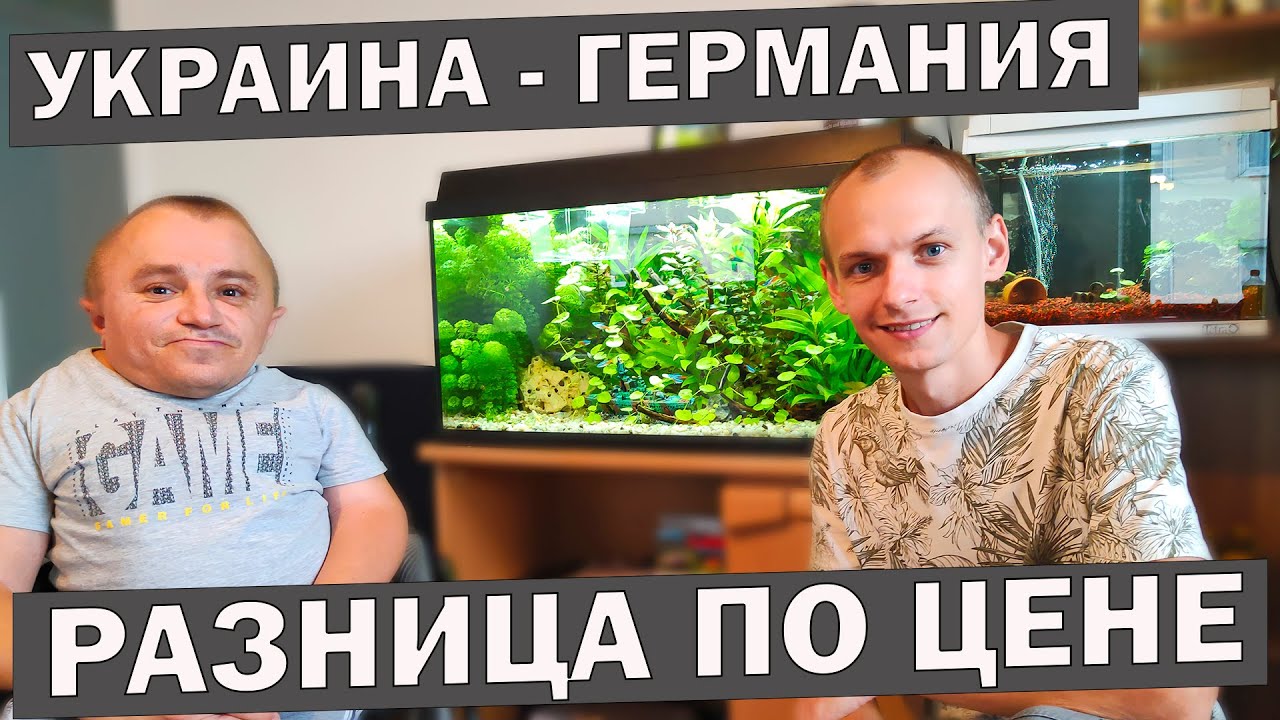 СКОЛЬКО СТОИТ ЗАПУСТИТЬ И СОДЕРЖАТЬ АКВАРИУМ В ГЕРМАНИИ? Советы по покупке аквариумных рыбок!