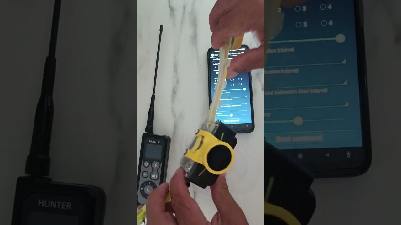 GPS BEEPER 433 PRO START VIDEO
