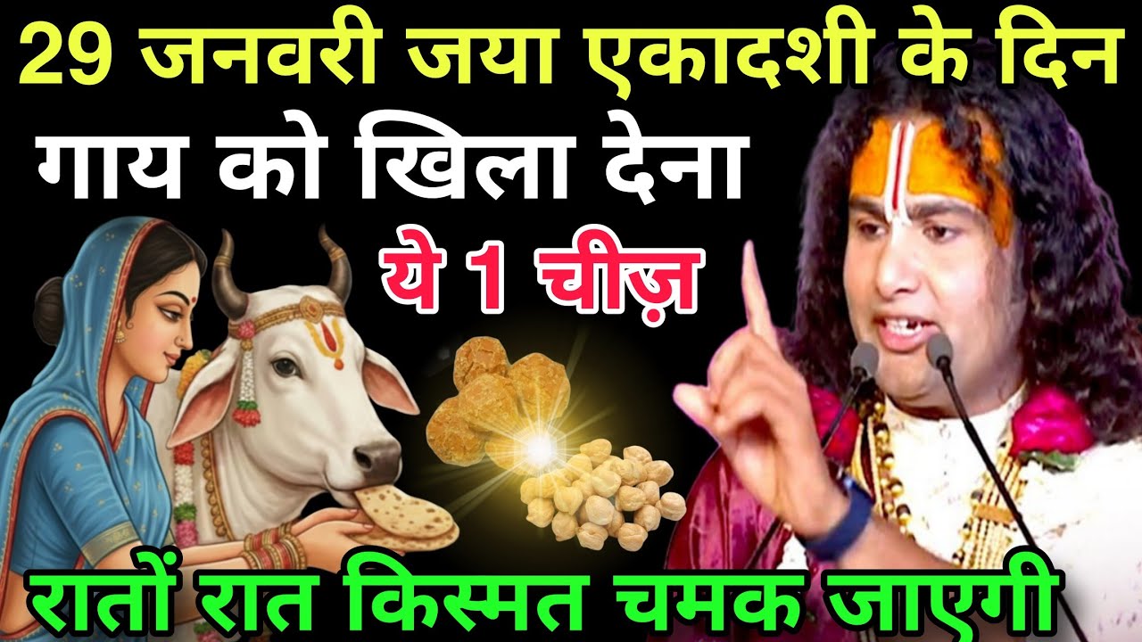 29 जनवरी जया एकादशी के दिन, गाय को खिला देना यह 1 गुप्त चीज रातों-रात किस्मत चमक जाएगी