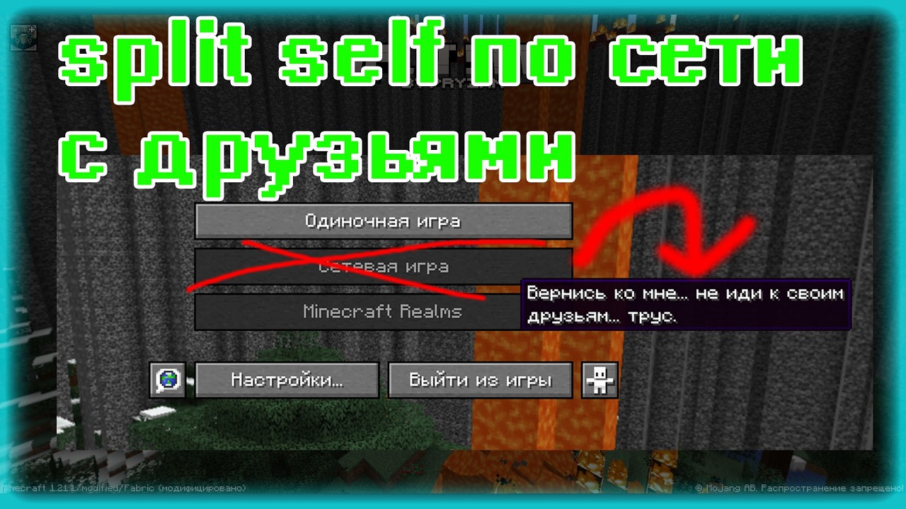 Мод Split Self с друзьями по сети | Как поиграть по сети в мод Split Self