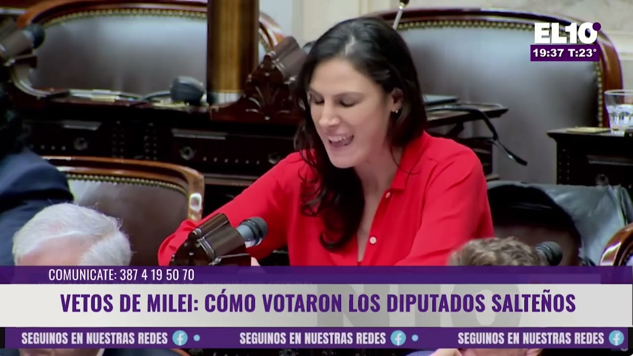 Doble golpe al Gobierno en Diputados: universidades y pediatría siguen en pie