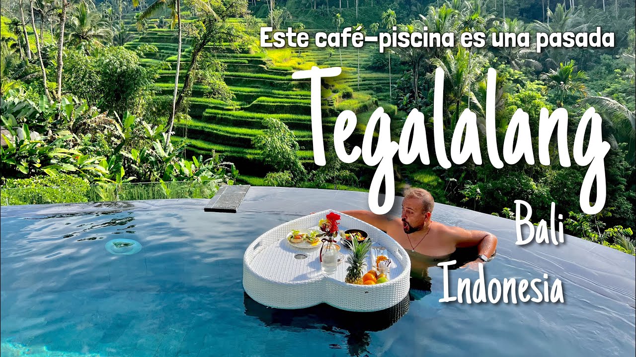 Tegalalang, Bali: terrazas de arroz y el plan de relax perfecto en Tis Cafe 🌾 🏊‍♂️ ☕️ Bali HD vlog