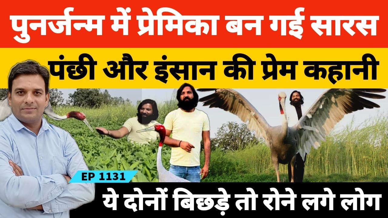 इंसान और पंक्षी की अजीब प्रेम कहानी, जब दोनों अलग हुए तो रोने लगे लोग | Arif Sarus ka dost