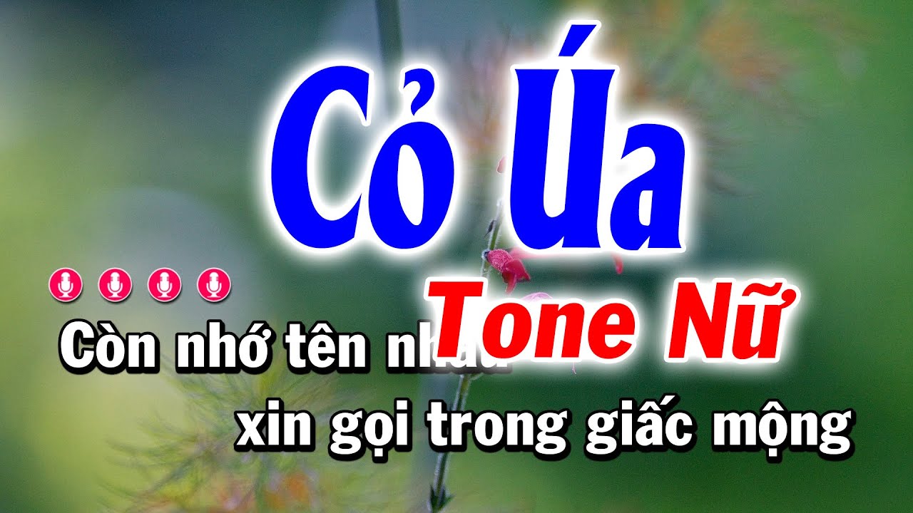Karaoke Cỏ Úa Nhạc Sống Tone Nữ | Huỳnh Anh Karaoke