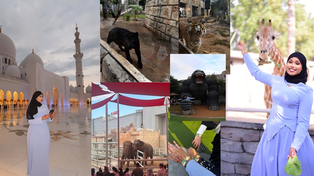 WAXAAN AADAY ABU DHABI ZOO + MOSKE vlog