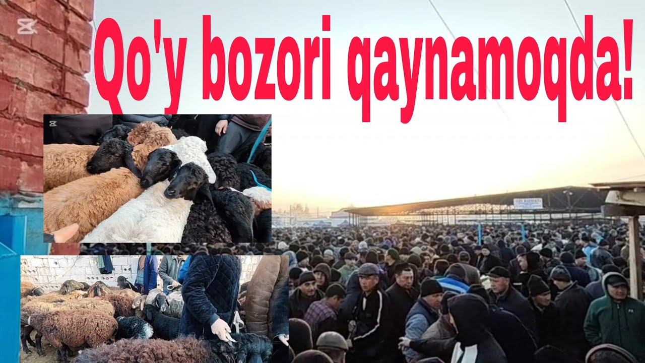Qo'rg'ontepa (Volkov) qo'y bozori 