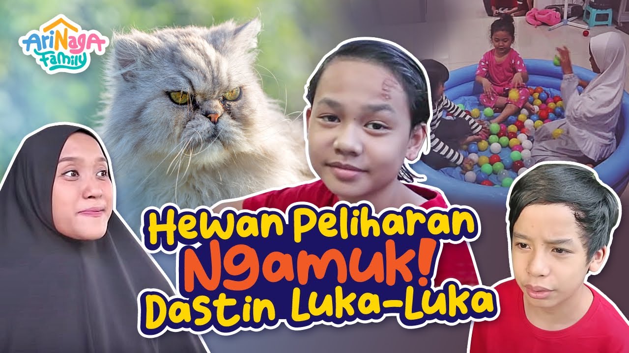 (VLOG) DASTIN DISERANG HEWAN PELIHARAAN SENDIRI