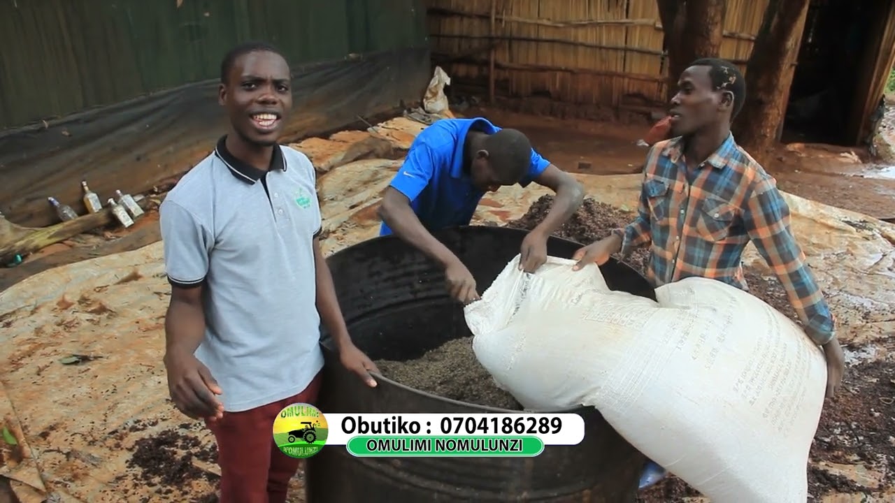 Okulima Obutiko ne mwaami bosa