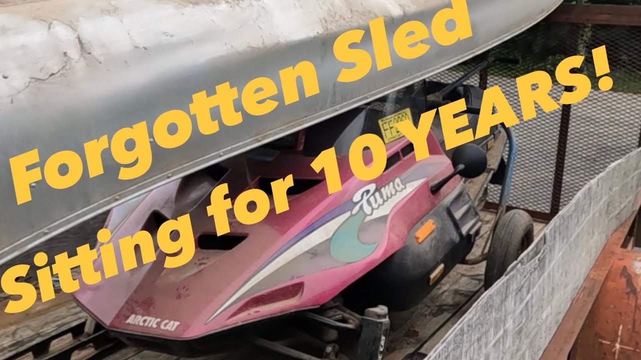 I got a FREE Snowmobile! WILL IT RUN?