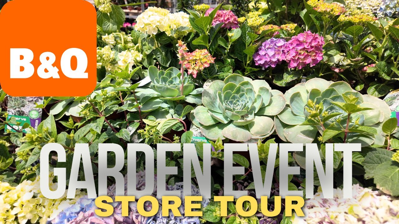 B&Q Garden Event - Top Outdoor Essentials You Need to See