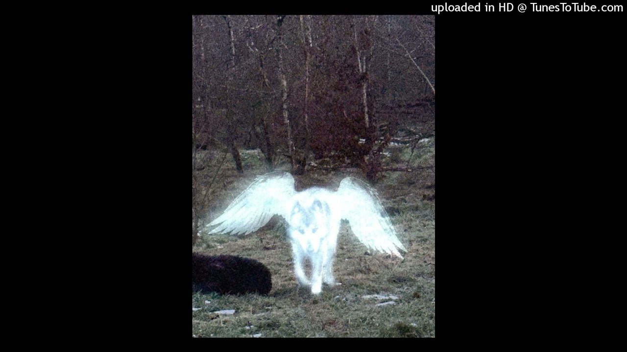 (free) nokia angel x witchhouse ambient type beat - ''gray'' (prod.laiz)