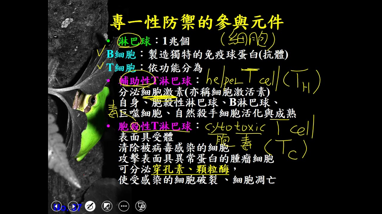 10802高三選修生物ch10 2 13專一性免疫參與元件 細胞三禮
