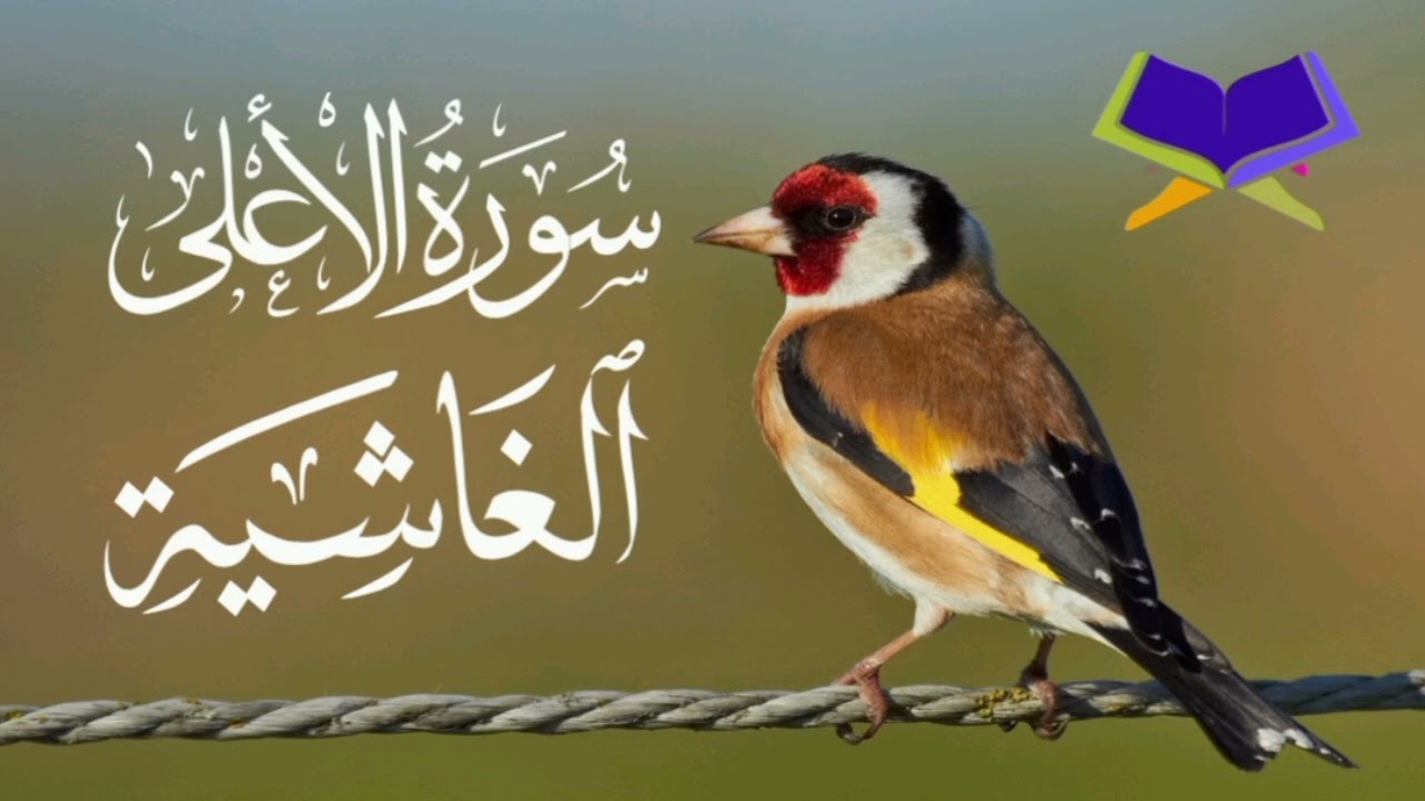 Surah Aala || SURAH AL GHASHIA 
