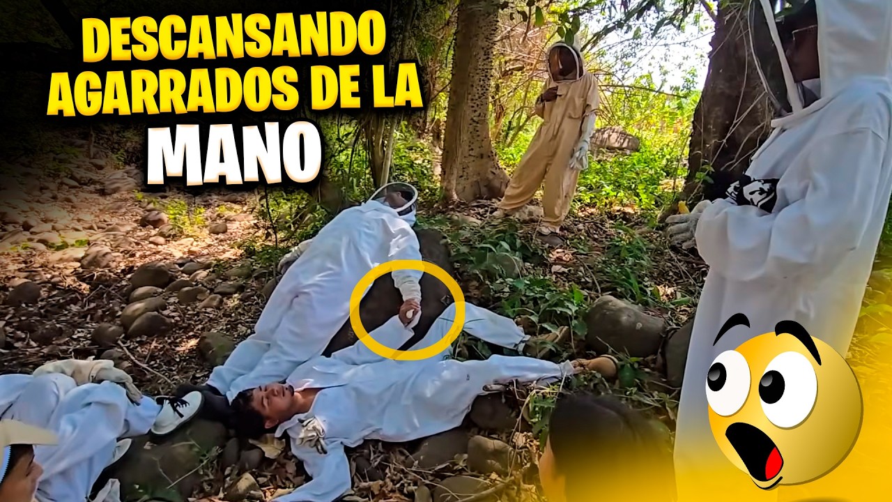 Miren como encontramos a Sapo y a Camarón descansando juntos