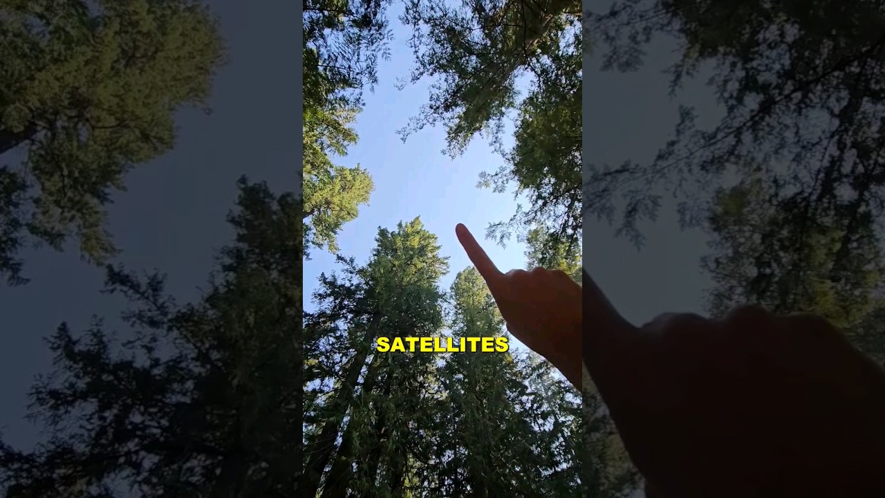 Это была ошибка #starlink #internet #vanlife #rv