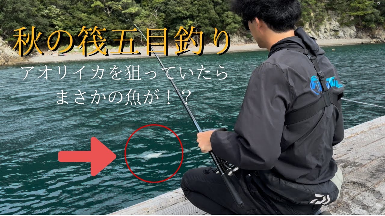 【筏五目釣り】ヤエン釣りでアオリイカを狙っていたらまさかの魚が！？