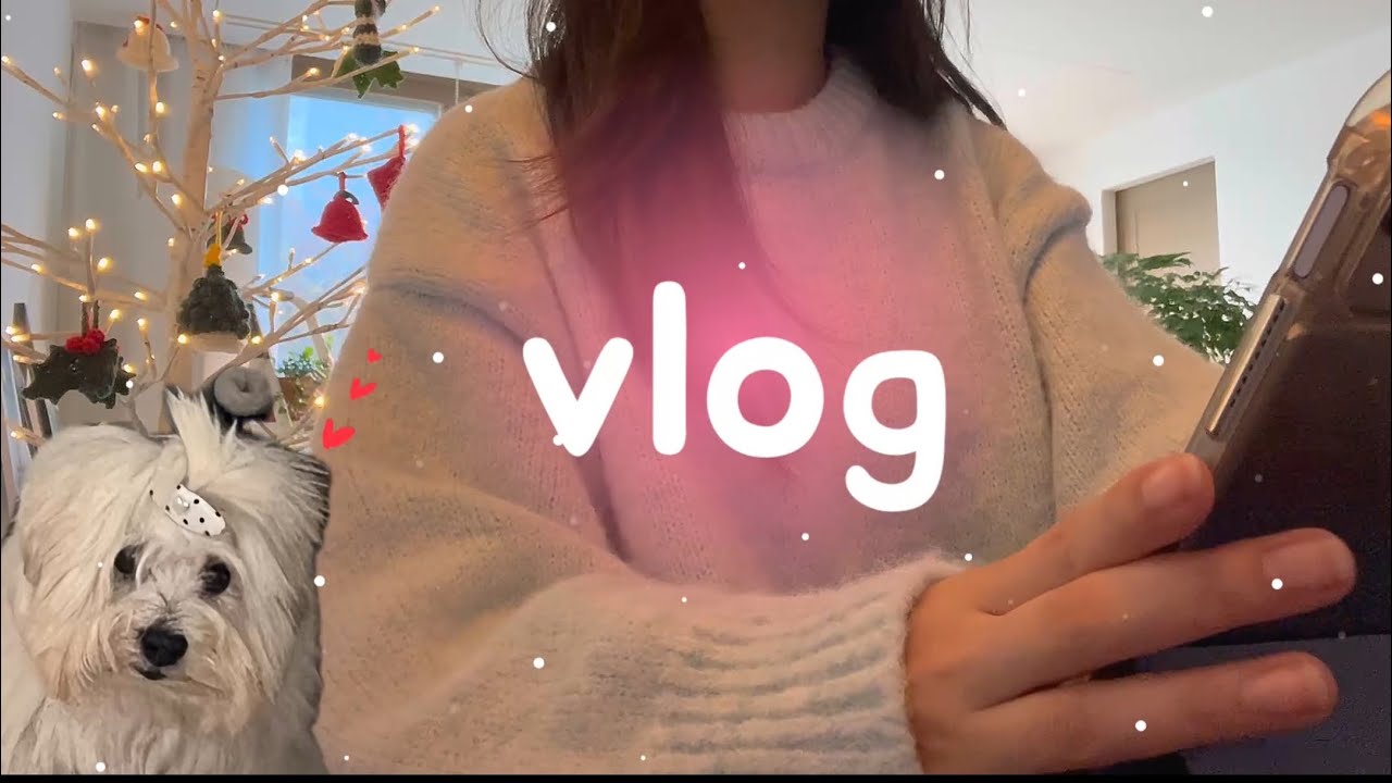 대학생 vlogㅣ자체 공강 만들기ㅣ연말 분위기🎄 + 마음은 이미 종강 모드ㅣ공부는 일상