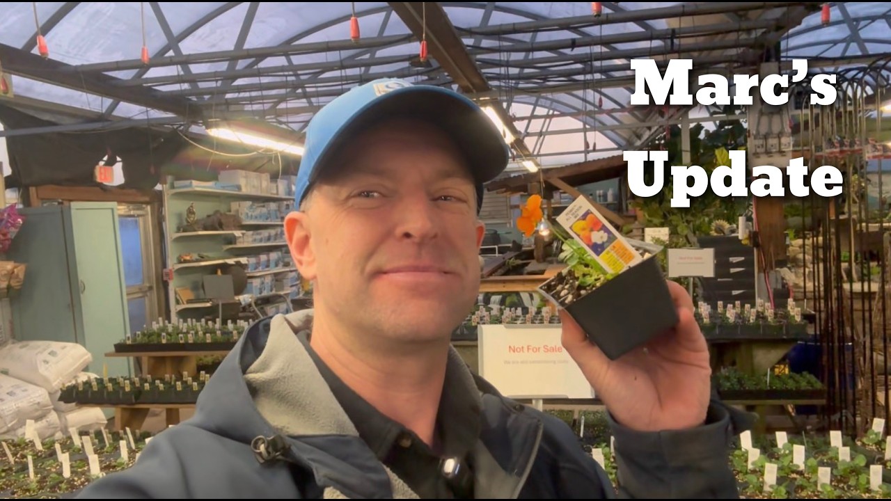 Marc’s Update