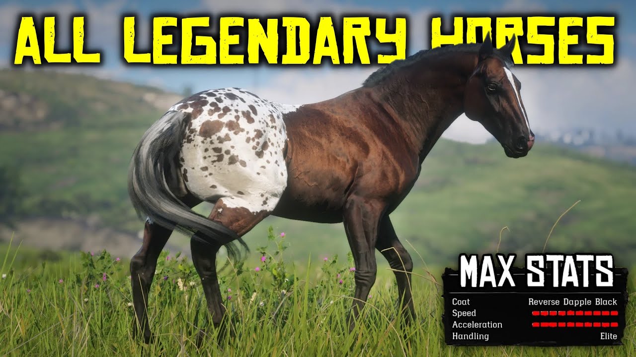 All RAREST Horses Location in Red Dead Redemption 2