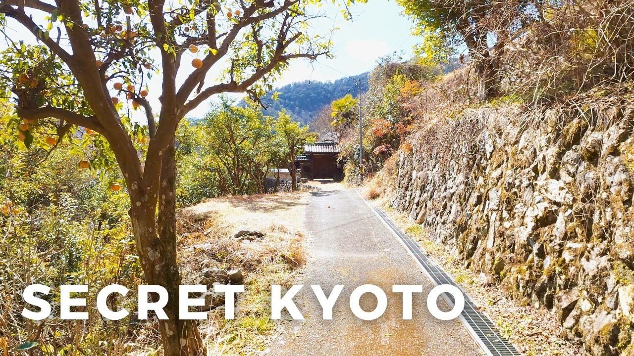 Walking Through the Birthplace of Yuzu | Kyoto's Hidden Mountain Village 【水尾の里】