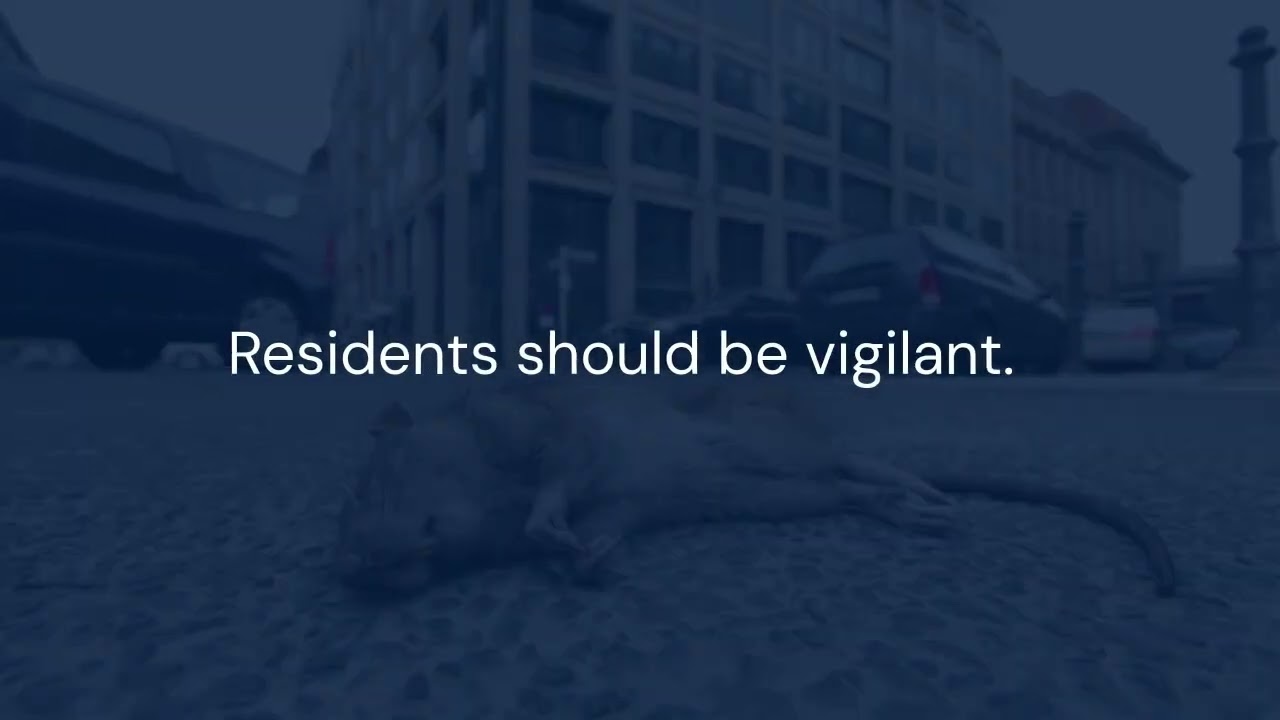 Rodent Infestations in Toronto: Are You at Risk? | Top Affected Neighborhoods & Prevention Tips