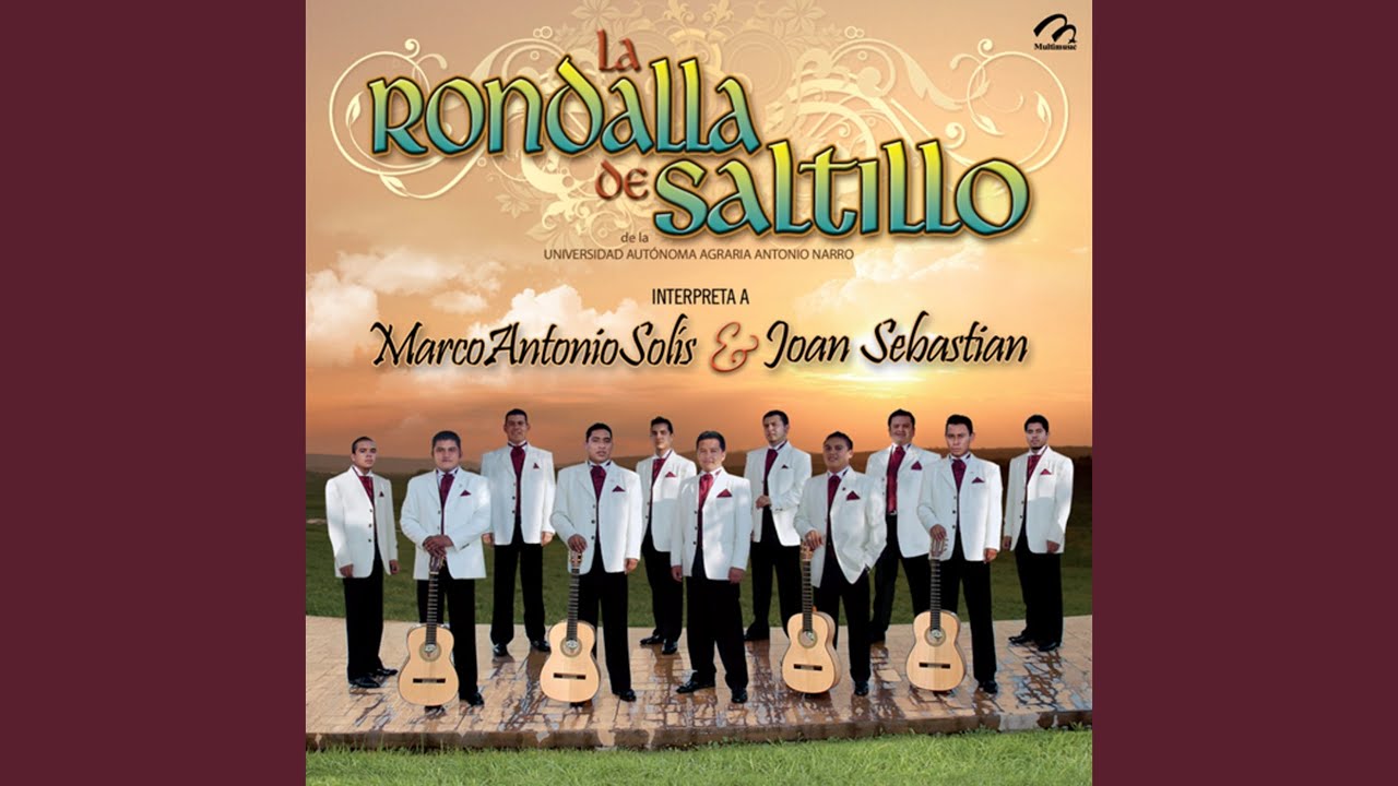 Si No Te Hubieras Ido