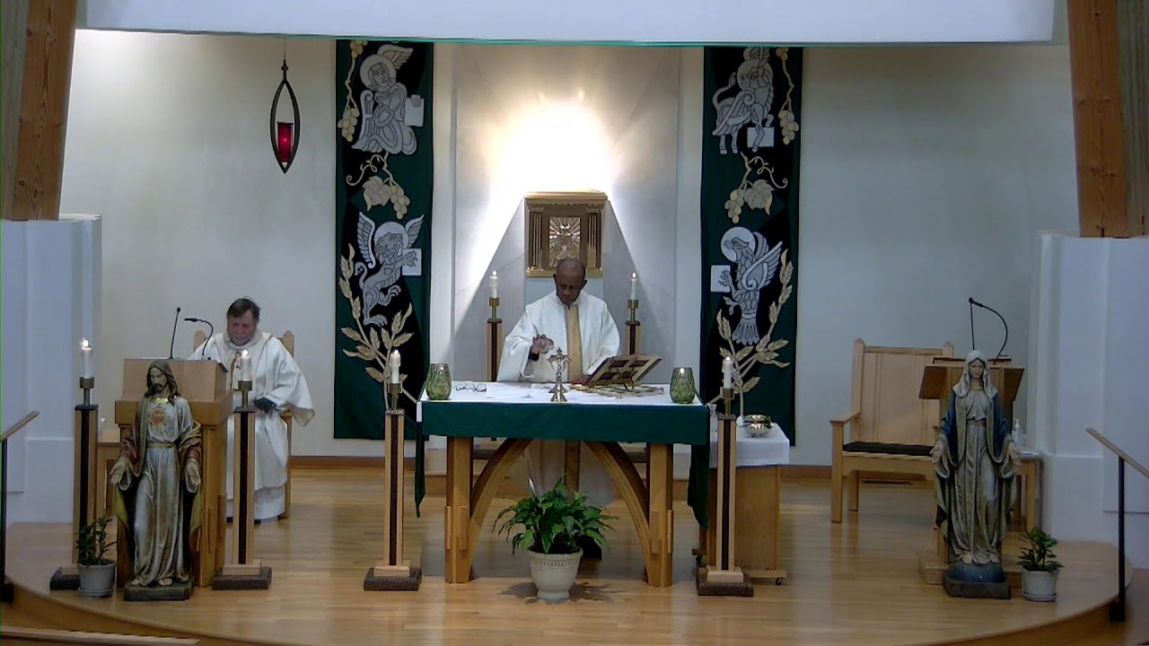 Weekday Mass - English - February 11, 2026