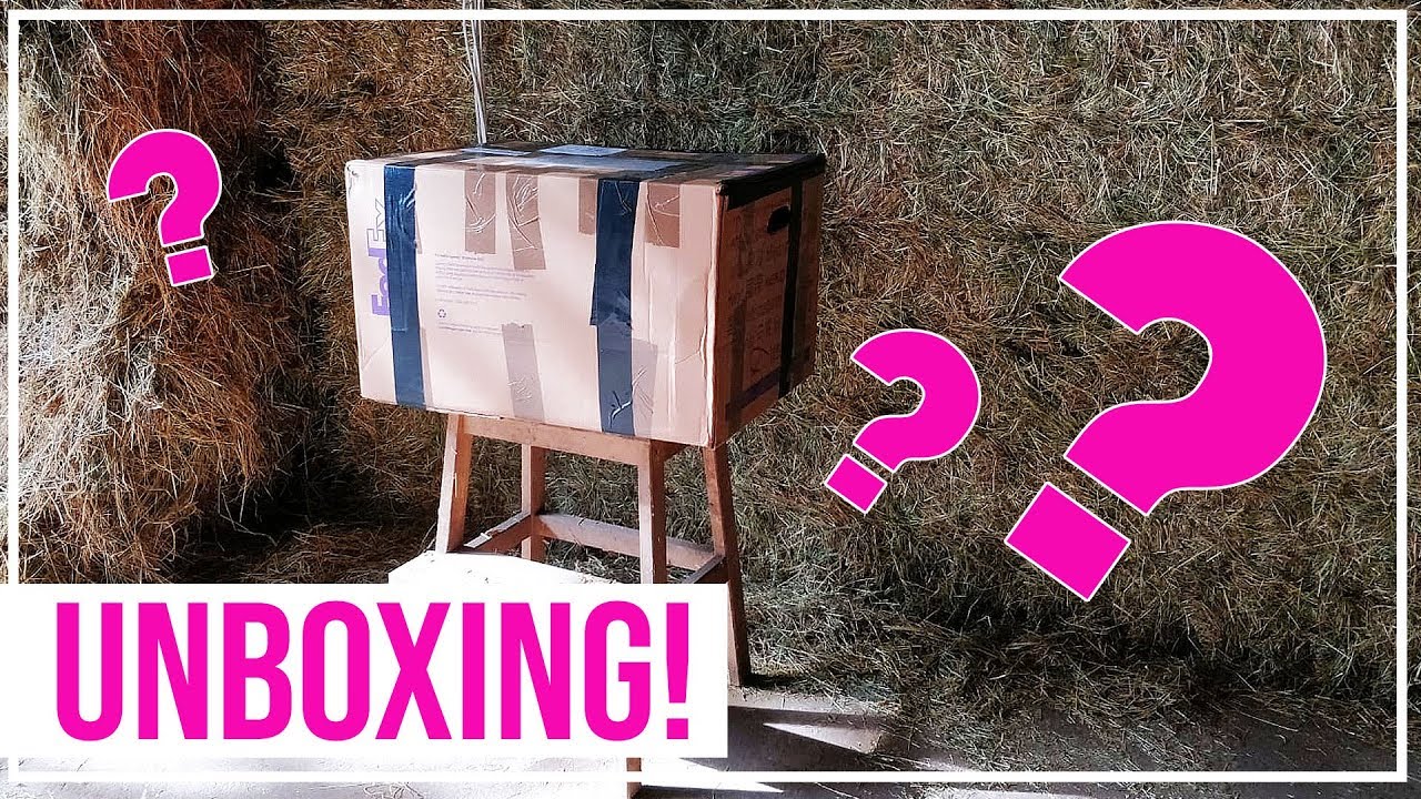 Paarden Unboxing - Mega grote doos!