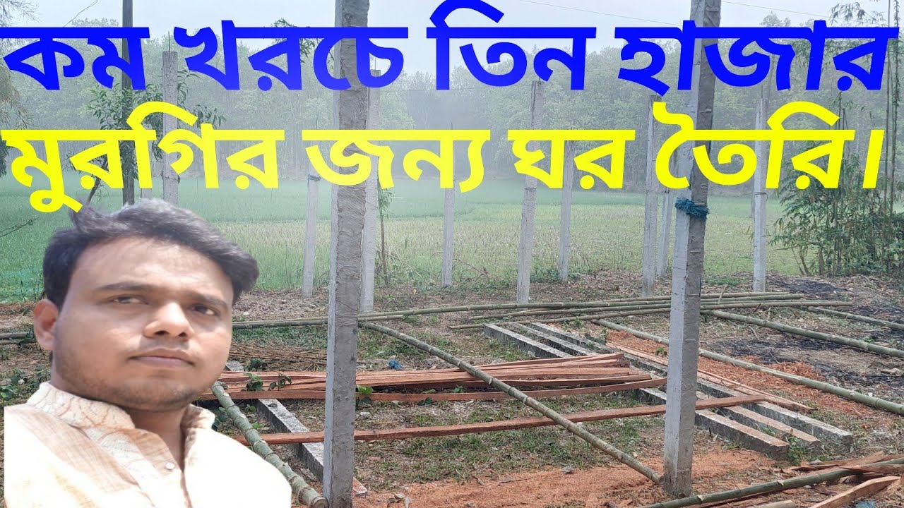 কিভাবে কম খরচে মুরগির শেড নির্মাণ করবেন।