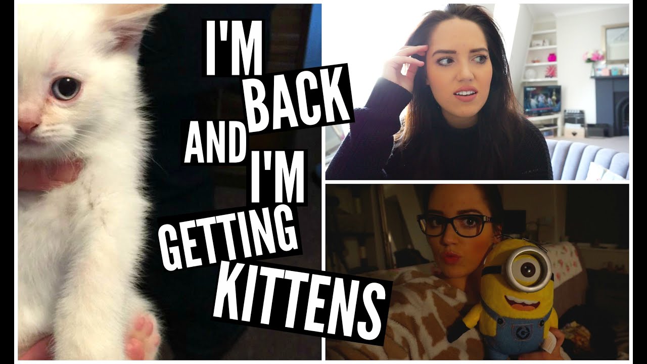 I'm Back And I'm Getting KITTENS!