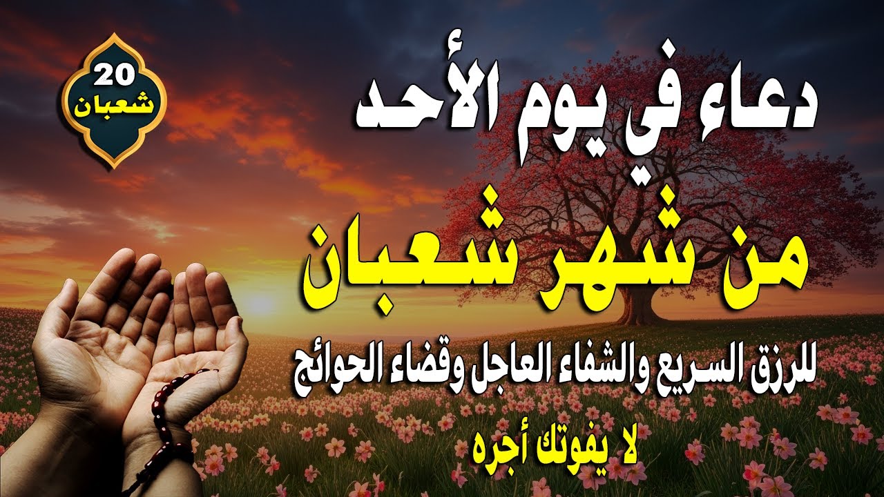 دعاء في يوم الثلاثاء المستجاب بإذن الله 15 من شهر شعبان بنية لتيسير الأمور وقضاء الحوائج 🤲🤲🏻