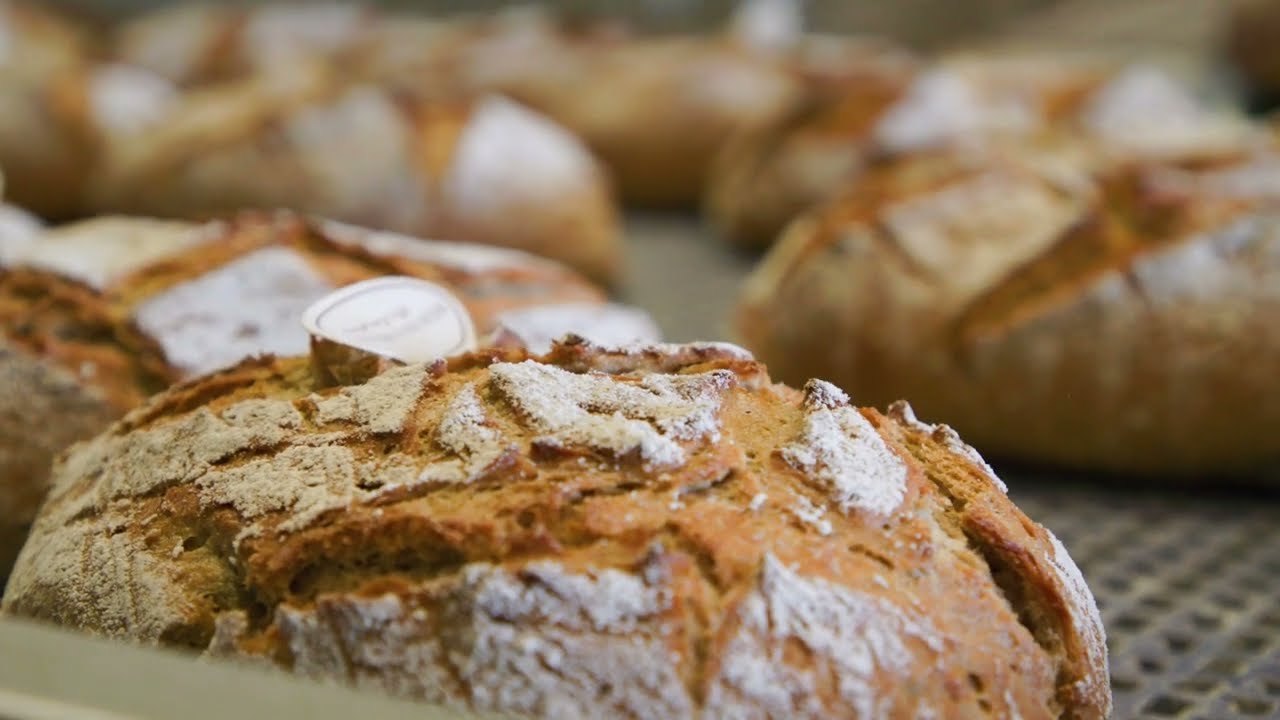Erweiterung der Bonback Halle (Saale)