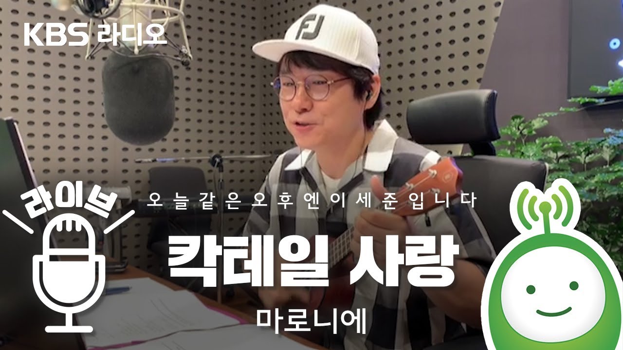 마로니에 