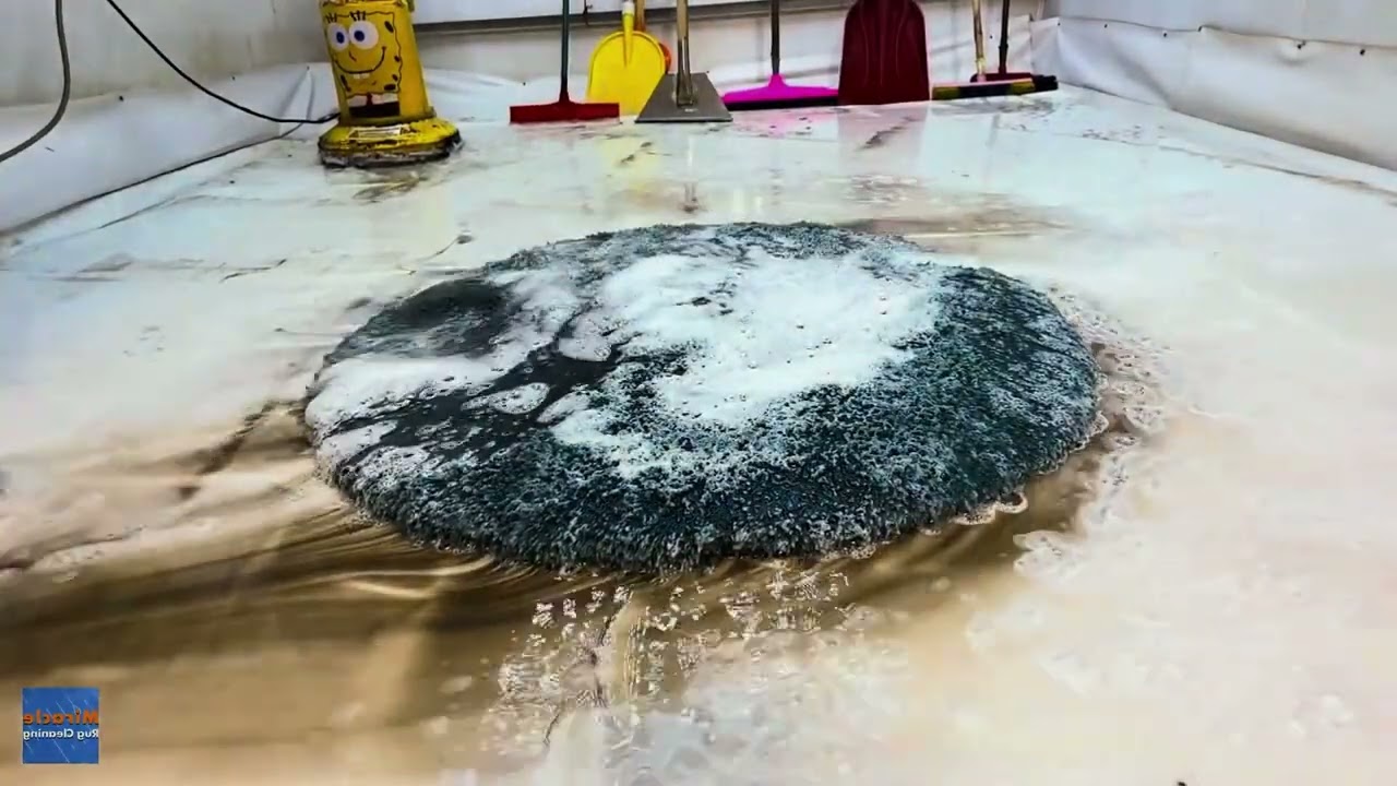 沉浸式解压洗地毯#沉浸式清洗#解压洗地毯#强迫症#深度清洁#清洗地毯