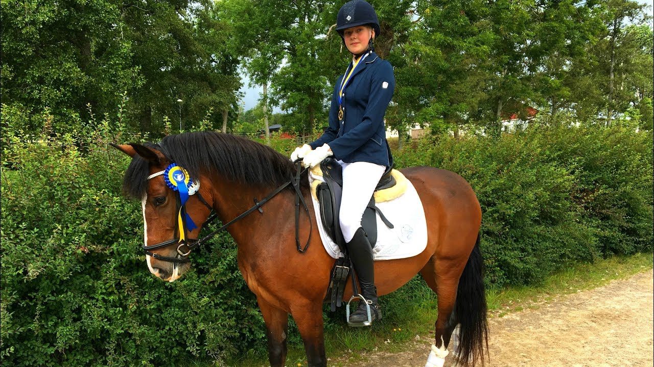 Stackarps Diara - LC:1 2015 - VINST!