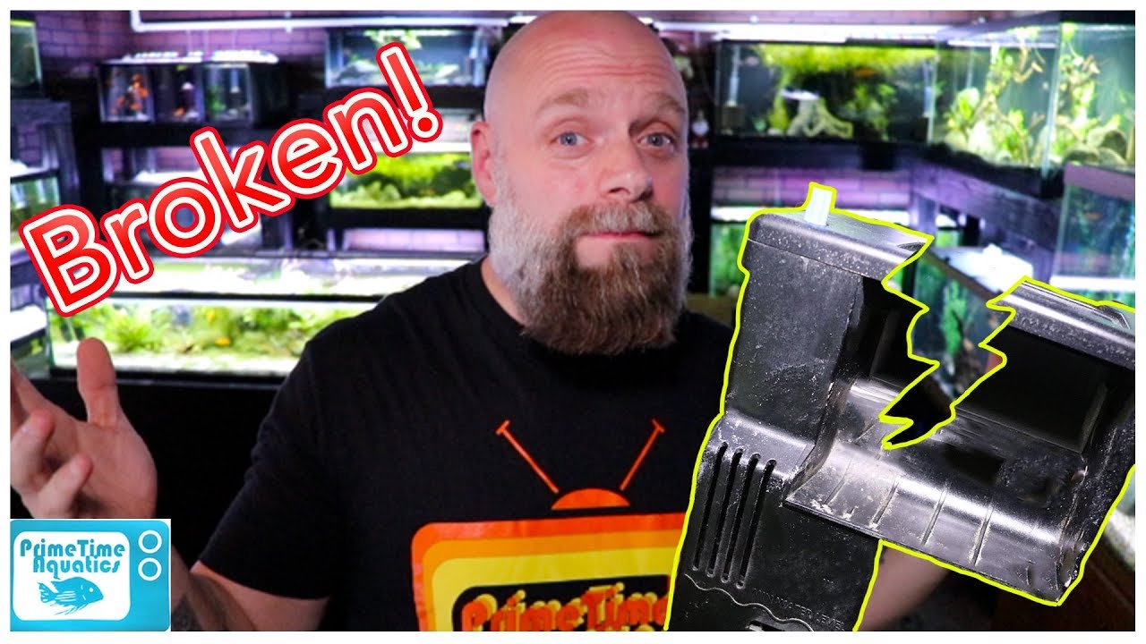 Don't Let a Broken Aquarium Filter KILL Your FISH! What To Do!