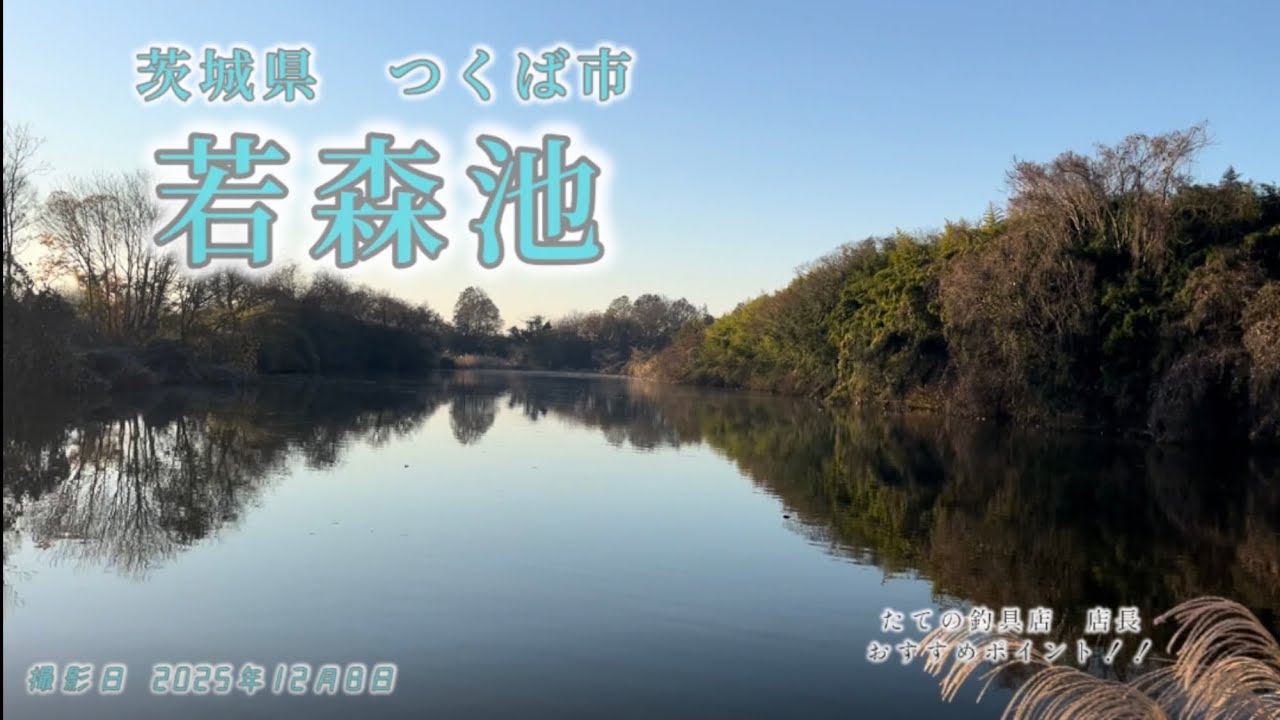 初冬の若森池　21尺の長竿で無双した件⁉️