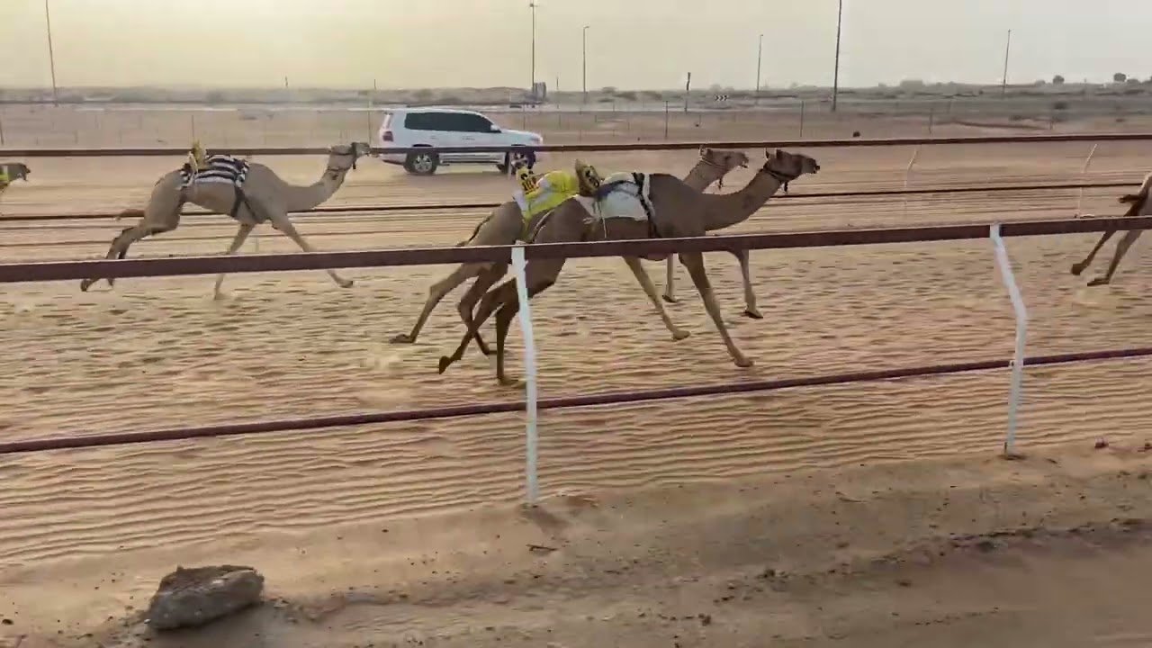 ١٦ أغسطس، ٢٠٢٥