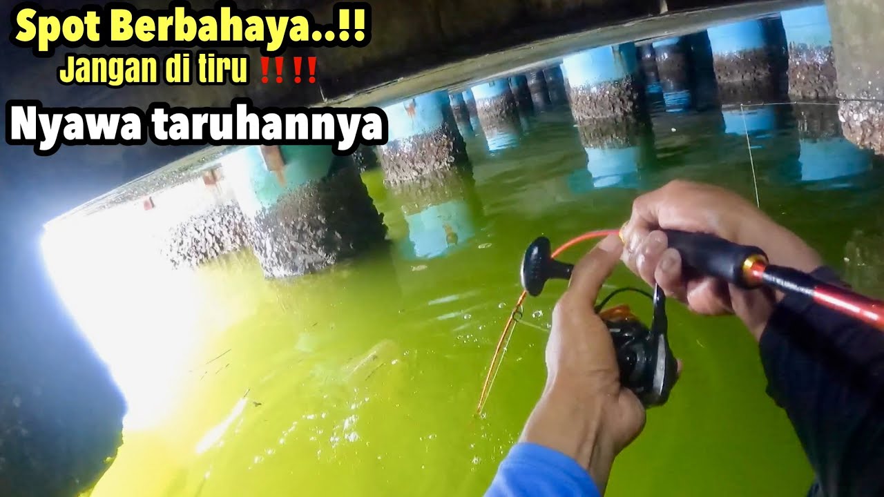 NEKAT‼️MANCING DI SPOT BERBAHAYA YANG DI BANYAK IKAN KAKAP PUTIH BESAR 