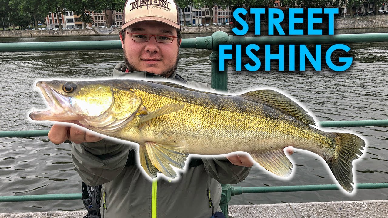 Pêche aux leurres en street fishing : j'ai failli lâcher ma canne !