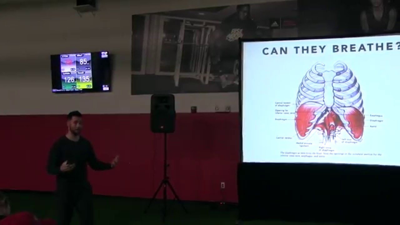 Movement As Medicine: Practical Principles for Movement Health