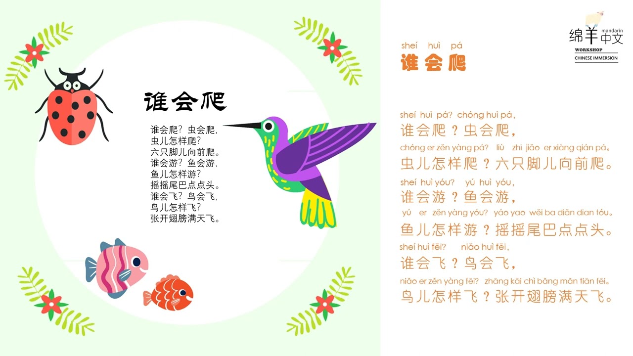 Sheep Mandarin Poems 童谣【谁会爬】谁会爬？虫会爬，虫儿怎样爬？六只脚儿向前爬。