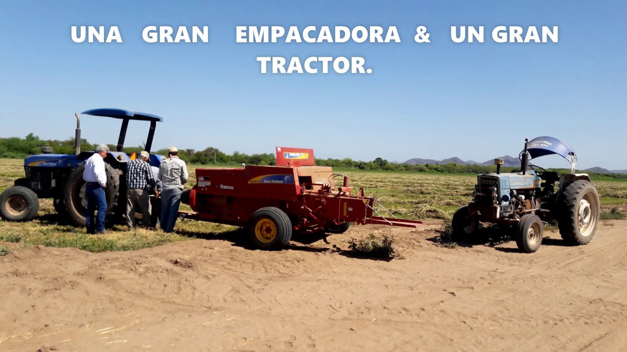 EMPAQUE DE ALFALFA & MICRO TIPS  CON UNA 570  NEW HOLLLAND  LOS ESPECIALISTAS EN EQUIPO FORRAJERO